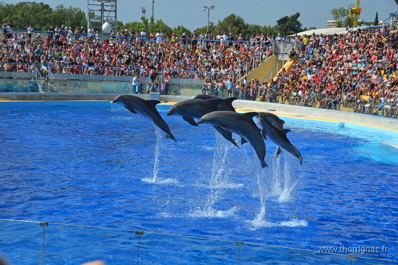 Marineland aout 2014 23.JPG - Marineland - Parc d'attractions aquatiques - Antibes - Août 2014